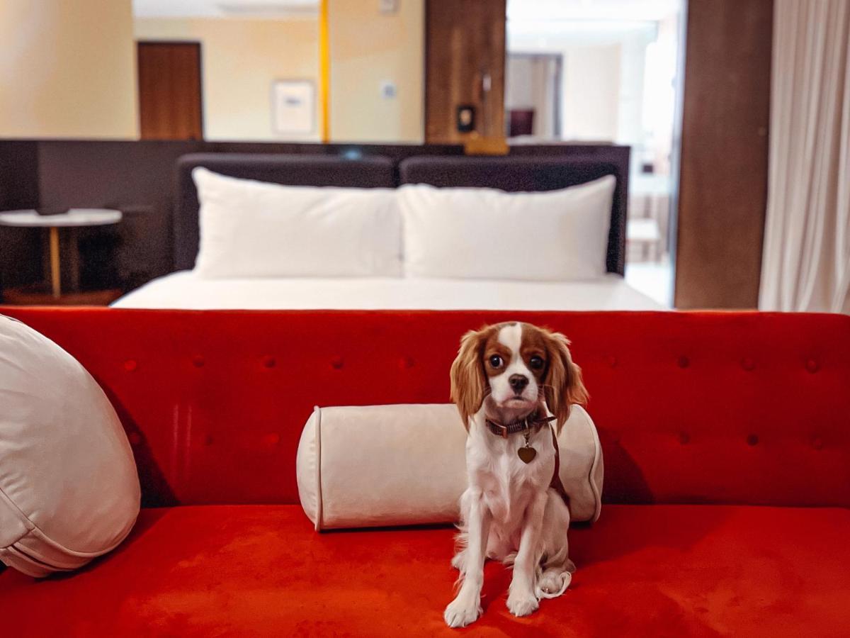 Hotel Haya تامبا المظهر الخارجي الصورة